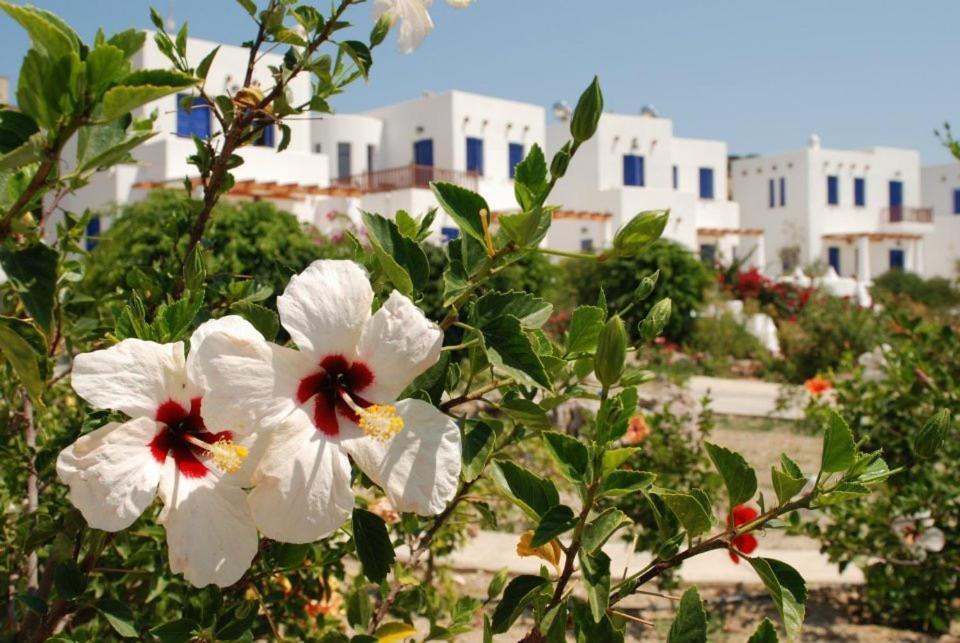 Niriedes Villas Lipsi Extérieur photo